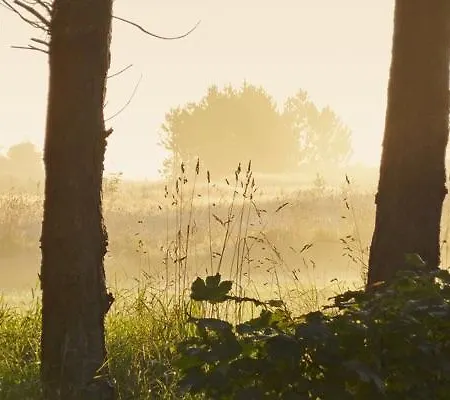 Prázdninový dům Holiday Kraegpotvej Hanstholm